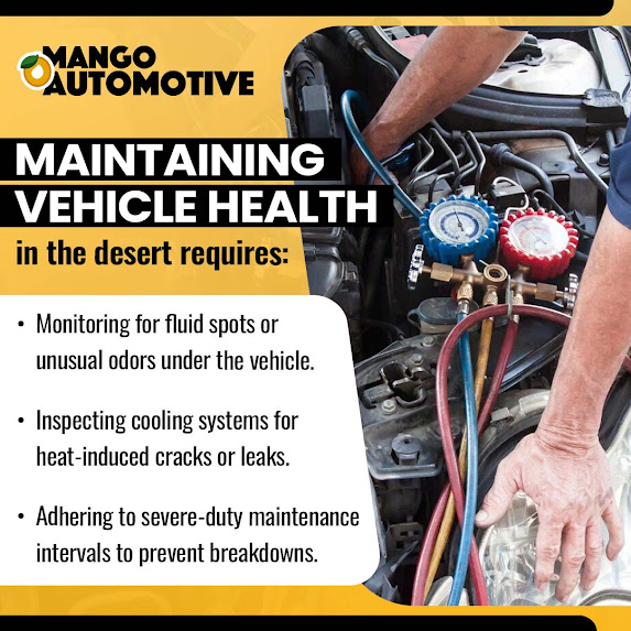 Maintaining vehicle health- Mango Automotive & Diesel (Las Cruces)