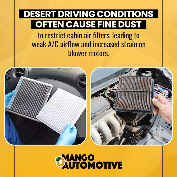 Desert driving conditions- Mango Automotive (Downtown)