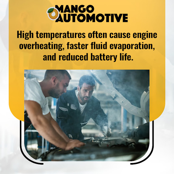 Top Car Longevity Tips from Mango Automotive: Keep Your Vehicle Healthy