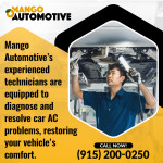 Mango Automotive (Montana) 1 (ver 1) (1).jpg