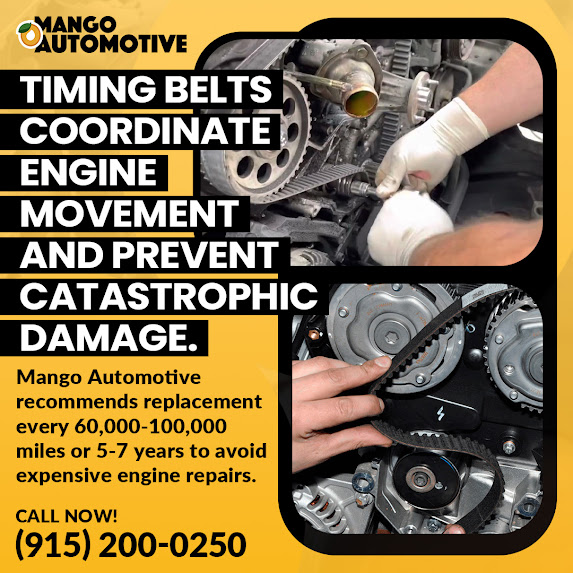 Mango Automotive Shares Timing Belt Insights for Reliable Vehicle Performance