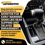 Mango Automotive (Ward) 1 (ver 1).jpg