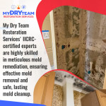 my-dry-team-mold-remediation-bathroom-walls 3 (ver 2).jpg