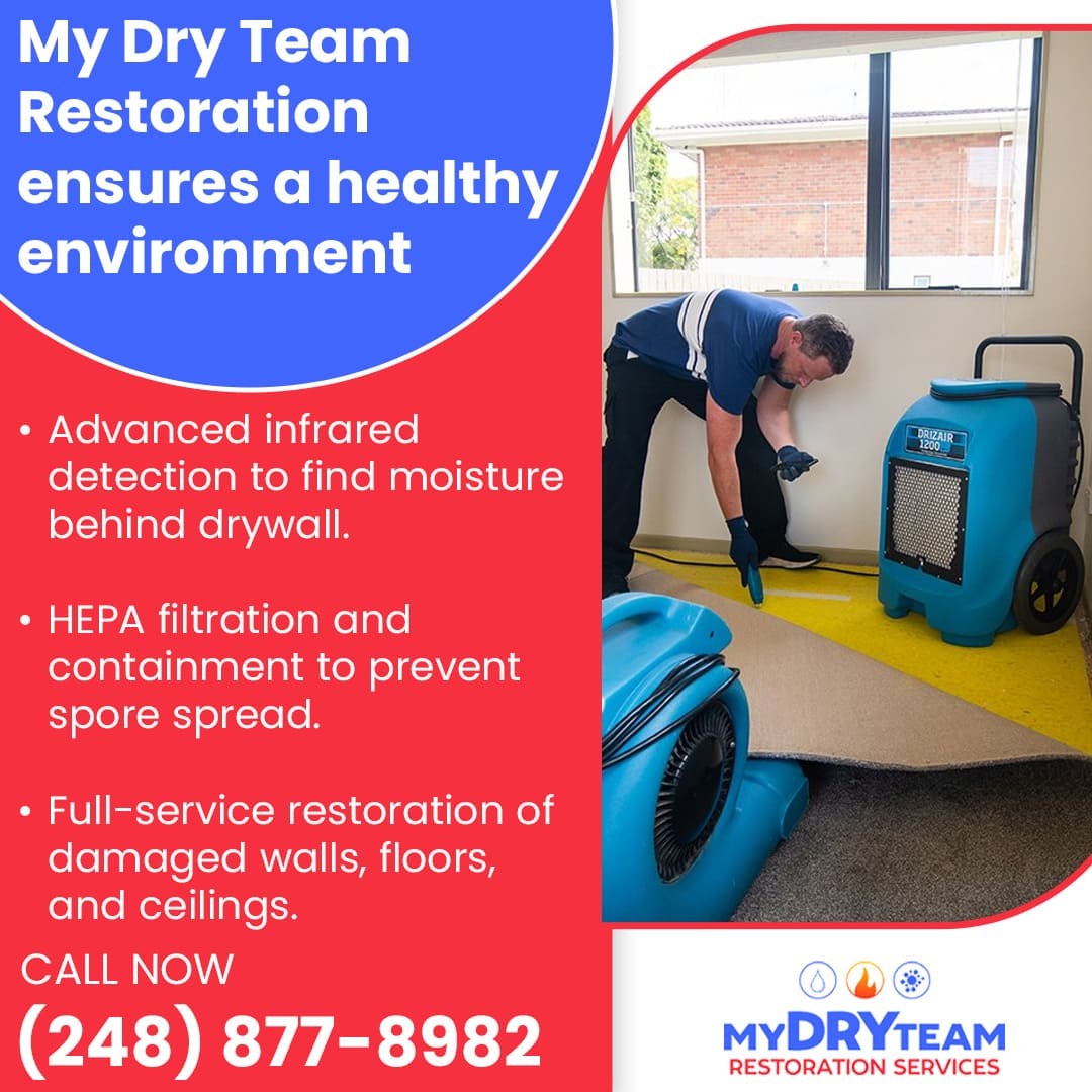 Advanced Mold Remediation