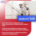 My Dry Team Restoration Services 4.jpg