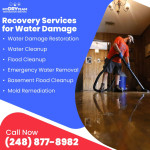 My Dry Team Restoration Services 1.jpg