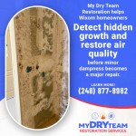 My Dry Team Restoration Services 1 (ver 1).jpg