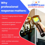 my-dry-team-thermal-imaging-water-damage-detection.jpg