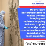 My Dry Team Restoration Services 3.jpg