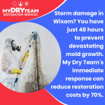 my-dry-team-wixom-storm-damage-mold-restoration.jpg