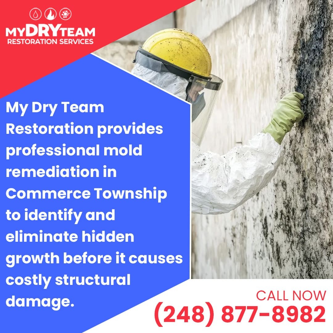 My Dry Team Restoration Services Gives Trusted Winter Home Solutions in Michigan