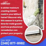 My Dry Team Restoration Services 3.jpg