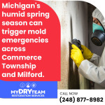 My Dry Team Restoration Services 3.jpg