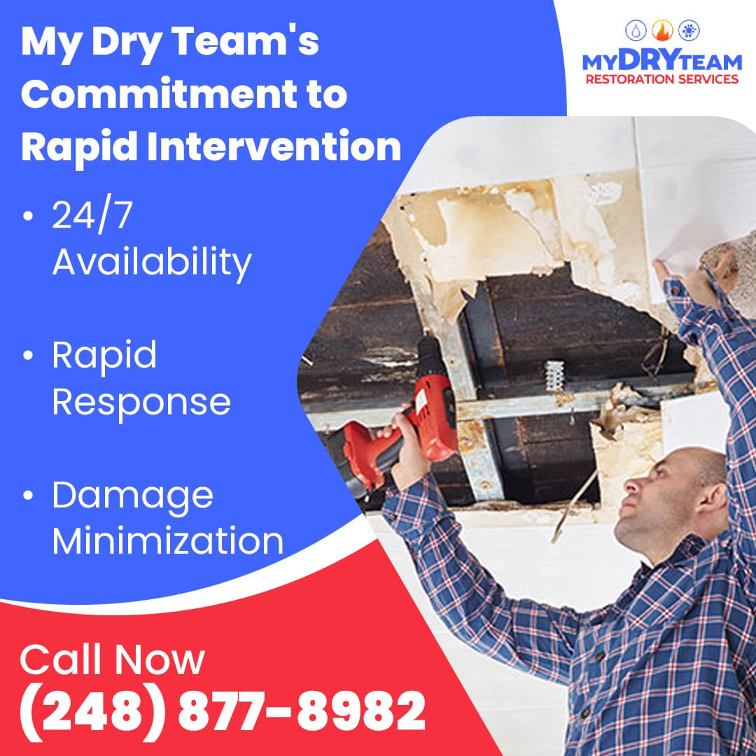 From Flood to Mold: Fast and Reliable Water Damage Restoration