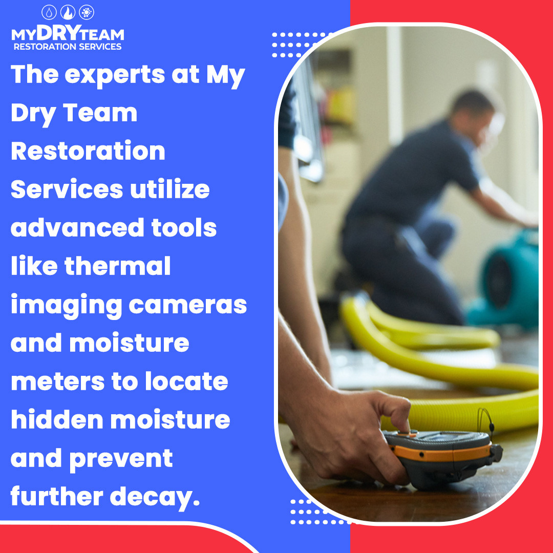 My Dry Team Tackles Top Water Damage & Flood Cleanup Risks in Wixom