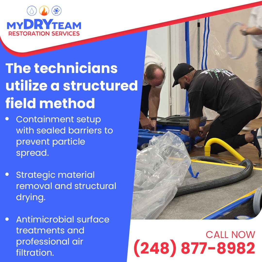 Structured Field Method for Mold Remediation