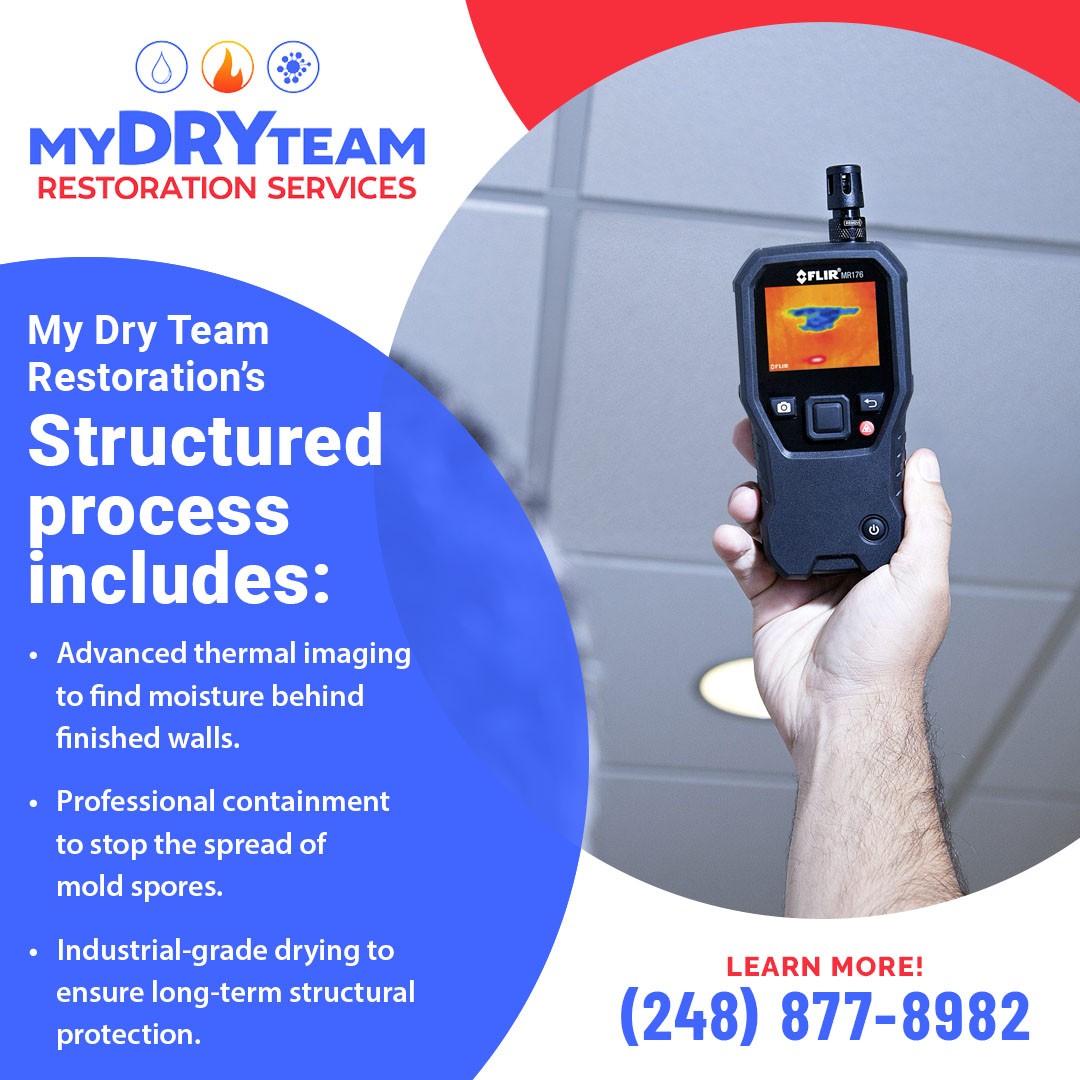 My Dry Team Restoration Helps Protect Homes Across Wixom and Southeast Michigan
