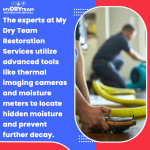 my-dry-team-restoration-services-thermal-imaging-moisture-detection 1.jpg