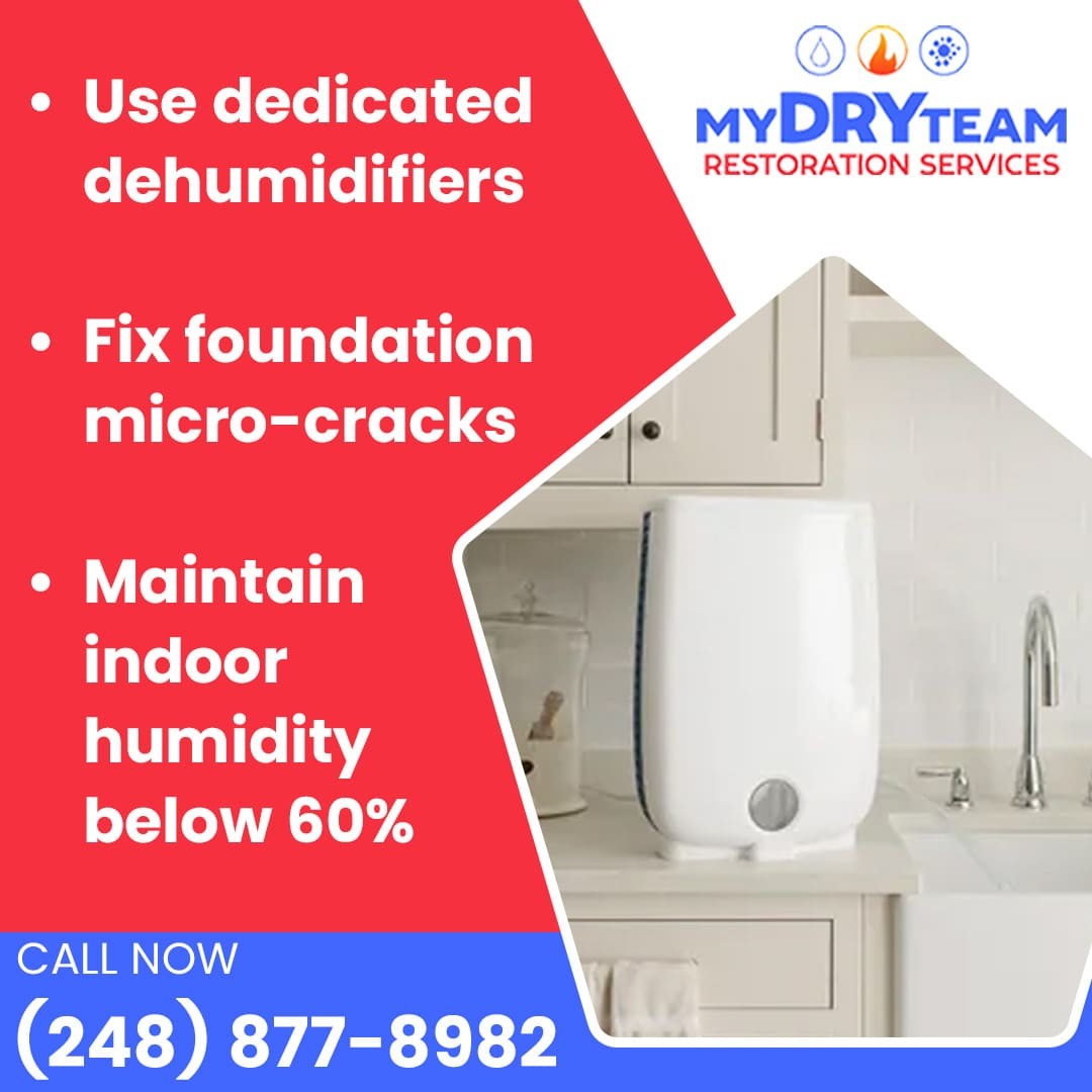 Dehumidifier with mold prevention tips for controlling indoor humidity