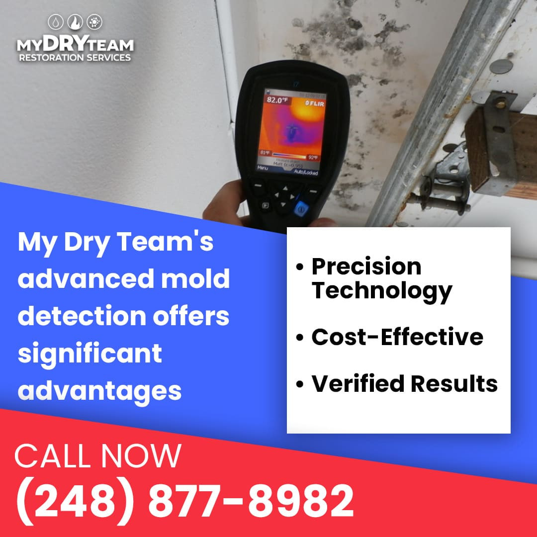 Thermal Imaging Revolutionizes Mold Detection in Milford, MI