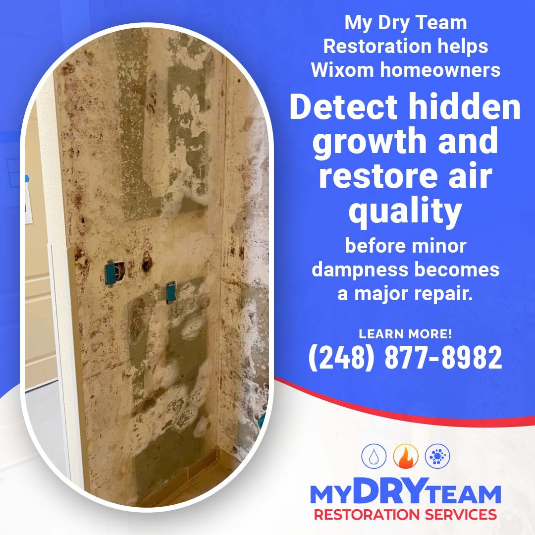 Detect Hidden Mold Growth in Wixom Properties