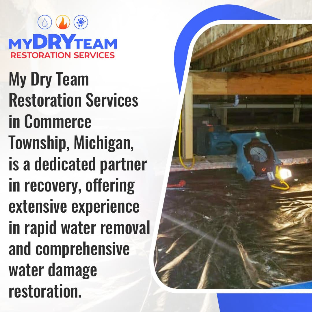My Dry Team Restoration Services Highlights Advanced Solutions for Water Damage