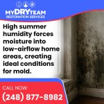 My Dry Team Restoration Services 5.jpg