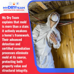 my-dry-team-mold-remediation-framework 4 (ver 2).jpg