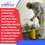 my-dry-team-walled-lake-mold-inspection 3 (ver 2).jpg