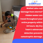 my-dry-team-walled-lake-water-damage-detection.jpg