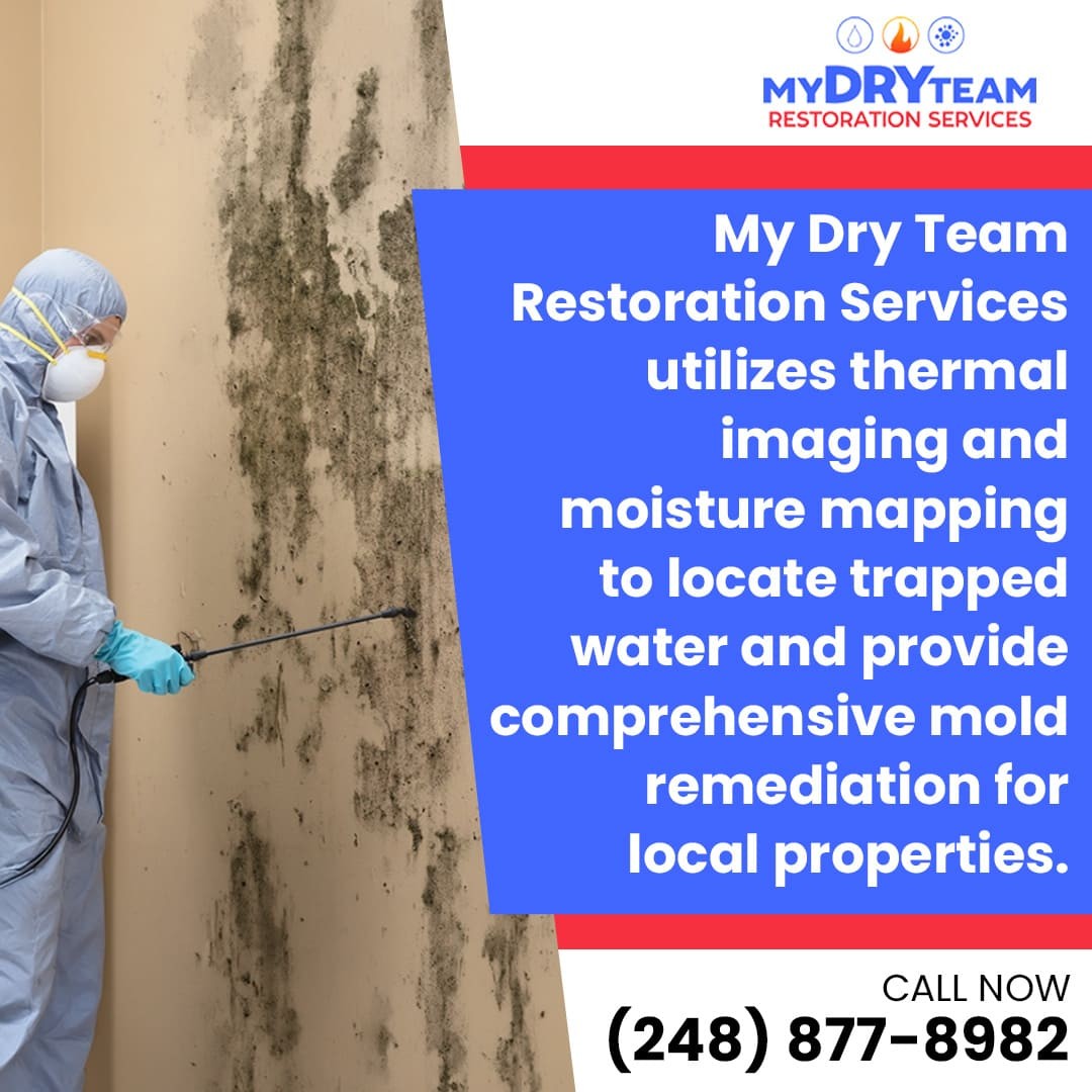 My Dry Team Restoration Expands Field Operations Across Southeast Michigan