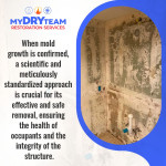 my-dry-team-scientific-mold-removal-process 4 (ver 2).jpg