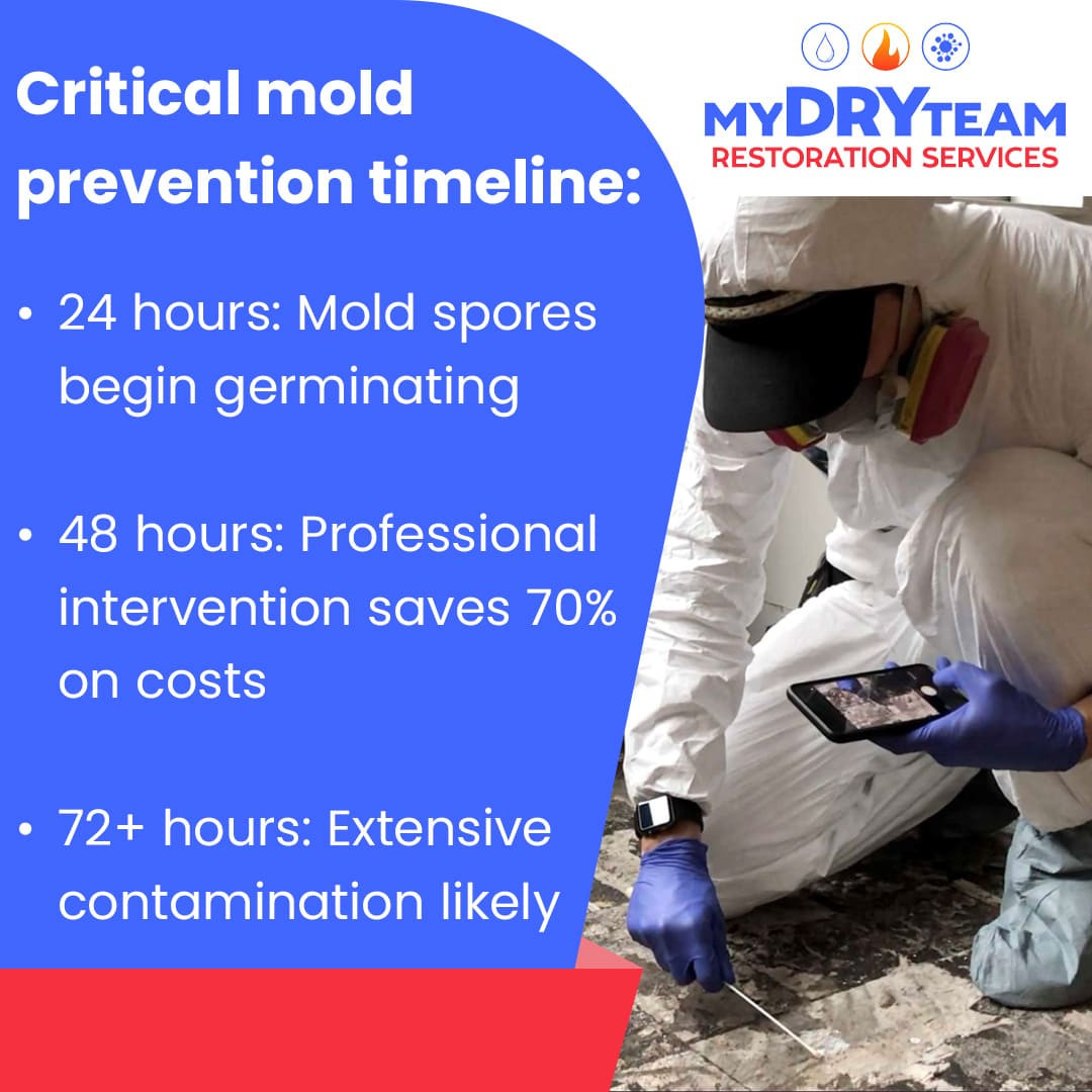 My Dry Team Restoration Services Reveals Critical Timeline for Preventing Mold