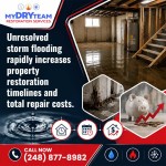 My Dry Team Restoration Services 6.jpg
