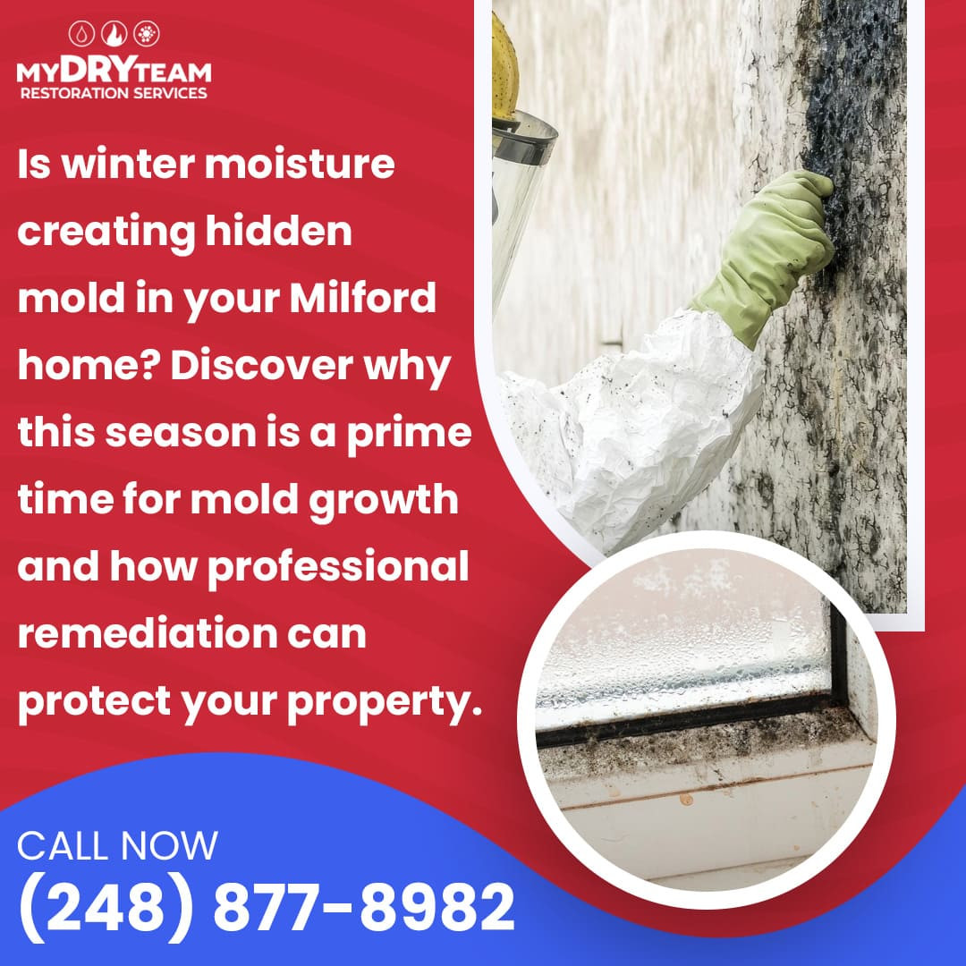 Restoration Company Alerts Milford Residents to Hidden Winter Mold Risks